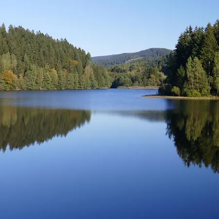 Apartment Seeblick Am Bocksberg - Hahnenklee Vier Jahreszeiten Goslar