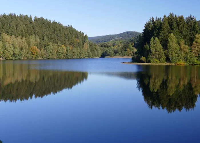 Apartamento Seeblick Am Bocksberg - Hahnenklee 