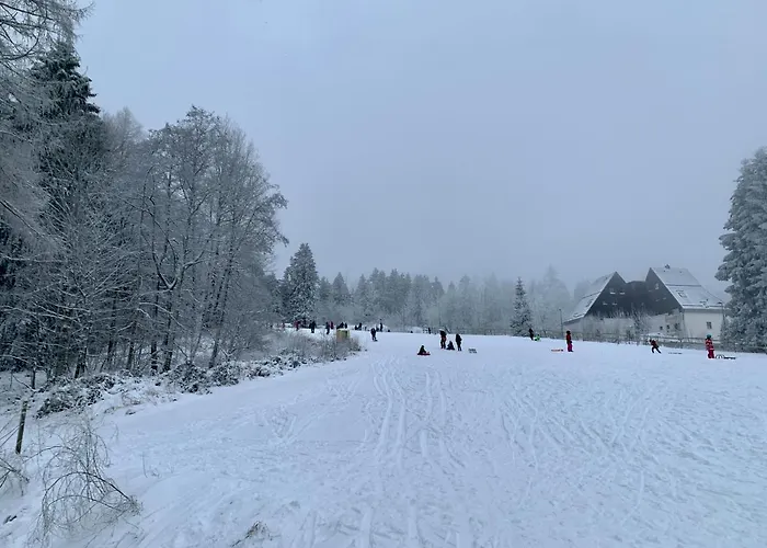 Seeblick Am Bocksberg - Hahnenklee 