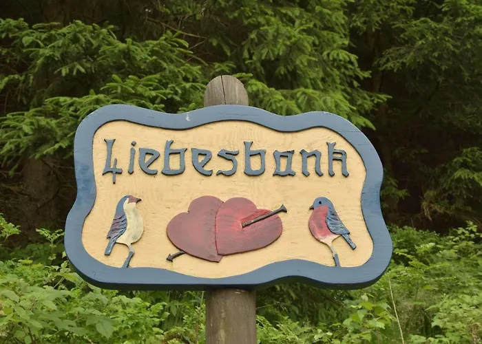 Seeblick Am Bocksberg - Hahnenklee 